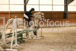 Poney_1_CSO_15h43_013.jpg