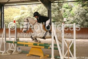 Poney_1_CSO_15h43_016.jpg