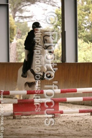 Poney_1_CSO_15h44_021.jpg