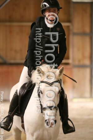 Poney_1_CSO_15h45_028.jpg