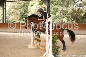 Poney_1_CSO_15h45_030.jpg