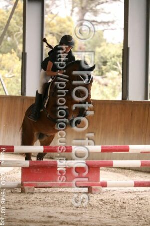 Poney_1_CSO_15h46_031.jpg
