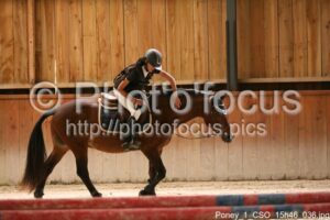 Poney_1_CSO_15h46_036.jpg