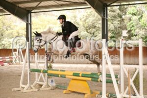 Poney_1_CSO_15h49_004.jpg