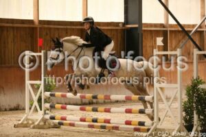 Poney_1_CSO_15h49_052.jpg