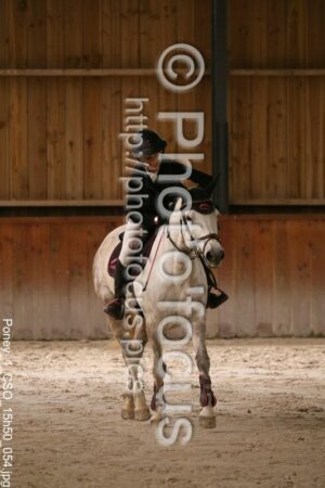 Poney_1_CSO_15h50_054.jpg