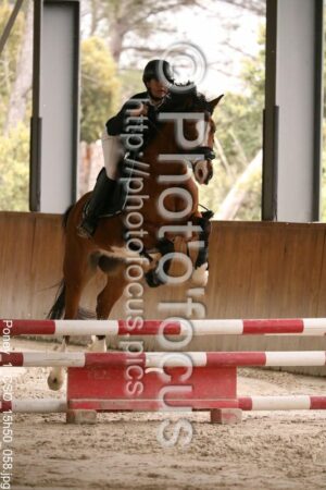 Poney_1_CSO_15h50_058.jpg