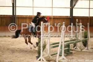 Poney_1_CSO_15h51_060.jpg