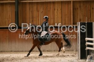 Poney_1_CSO_15h51_061.jpg