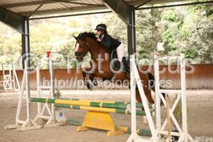 Poney_1_CSO_15h51_063.jpg
