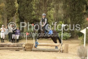Poney_1_Cross_13h23_007.jpg