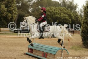 Poney_1_Cross_13h25_011.jpg