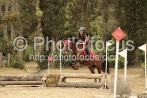 Poney_1_Cross_13h27_013.jpg
