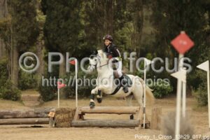 Poney_1_Cross_13h29_017.jpg