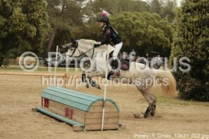 Poney_1_Cross_13h31_022.jpg