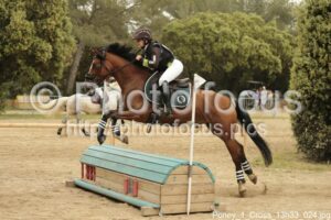 Poney_1_Cross_13h33_024.jpg