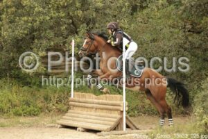 Poney_1_Cross_13h33_025.jpg