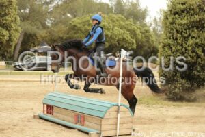 Poney_1_Cross_13h38_031.jpg