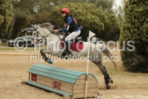 Poney_1_Cross_13h42_038.jpg