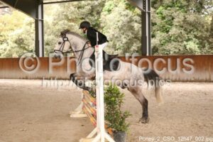 Poney_2_CSO_12h47_002.jpg