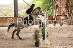 Poney_2_CSO_12h47_004.jpg