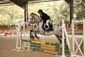 Poney_2_CSO_12h48_008.jpg