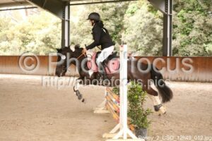 Poney_2_CSO_12h49_012.jpg