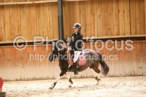 Poney_2_CSO_12h49_015.jpg