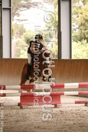 Poney_2_CSO_12h51_021.jpg