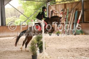 Poney_2_CSO_12h54_040.jpg