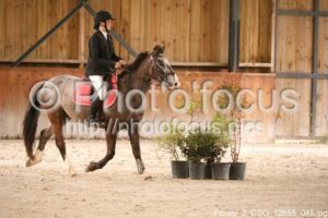Poney_2_CSO_12h55_045.jpg