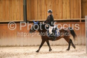 Poney_2_CSO_12h56_051.jpg