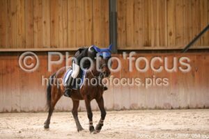 Poney_2_CSO_12h56_054.jpg