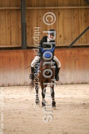 Poney_2_CSO_12h56_055.jpg