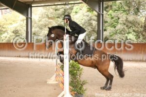 Poney_2_CSO_12h57_058.jpg