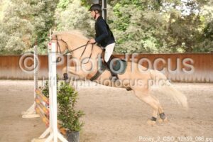 Poney_2_CSO_12h59_066.jpg