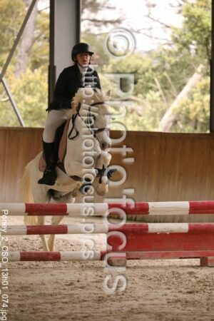 Poney_2_CSO_13h01_074.jpg