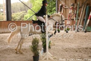 Poney_2_CSO_13h01_075.jpg