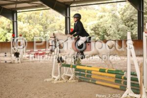 Poney_2_CSO_13h01_079.jpg