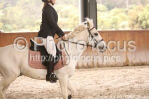 Poney_2_CSO_13h02_081.jpg