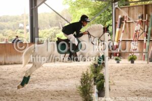 Poney_2_CSO_13h02_085.jpg