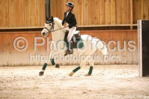 Poney_2_CSO_13h03_087.jpg