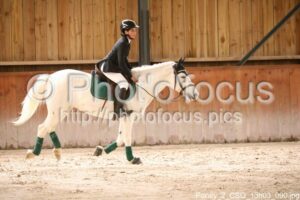 Poney_2_CSO_13h03_090.jpg