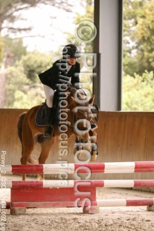 Poney_2_CSO_13h04_092.jpg