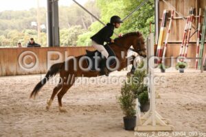 Poney_2_CSO_13h04_093.jpg