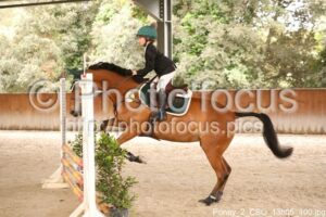 Poney_2_CSO_13h05_100.jpg