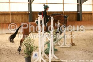 Poney_2_CSO_13h06_103.jpg