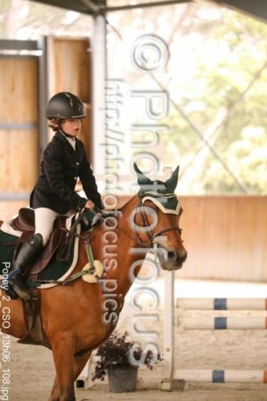 Poney_2_CSO_13h06_108.jpg