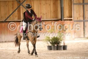 Poney_2_CSO_13h08_117.jpg