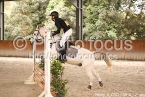 Poney_2_CSO_13h14_121.jpg